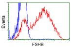 FSHB Antibody in Flow Cytometry (Flow)