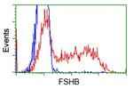 FSHB Antibody in Flow Cytometry (Flow)