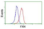 FXN Antibody in Flow Cytometry (Flow)