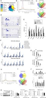 FXR2 Antibody in ChIP Assay (ChIP)