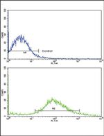 FZD1 Antibody in Flow Cytometry (Flow)