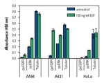 In-Cell ELISA Kit, Colorimetric