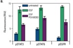 In-Cell ELISA Kit, Near Infrared