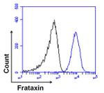 FXN Antibody in Flow Cytometry (Flow)