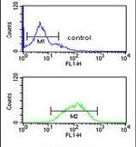 GABRG3 Antibody in Flow Cytometry (Flow)