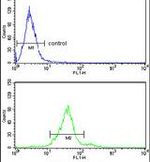 GALNT2 Antibody in Flow Cytometry (Flow)