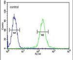GALNT4 Antibody in Flow Cytometry (Flow)