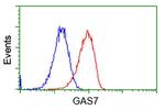 GAS7 Antibody in Flow Cytometry (Flow)