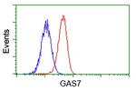 GAS7 Antibody in Flow Cytometry (Flow)