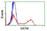 GATM Antibody in Flow Cytometry (Flow)