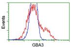 GBA3 Antibody in Flow Cytometry (Flow)