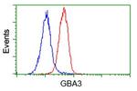 GBA3 Antibody in Flow Cytometry (Flow)