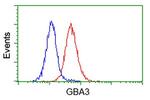 GBA3 Antibody in Flow Cytometry (Flow)