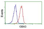 GBA3 Antibody in Flow Cytometry (Flow)