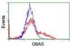 GBAS Antibody in Flow Cytometry (Flow)