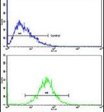 GCAT Antibody in Flow Cytometry (Flow)