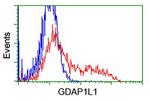GDAP1L1 Antibody in Flow Cytometry (Flow)