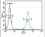 GLT8D2 Antibody in Flow Cytometry (Flow)