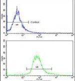 GLO1 Antibody in Flow Cytometry (Flow)