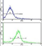 GLRX2 Antibody in Flow Cytometry (Flow)