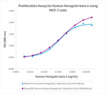 PeproGMP® Human Heregulin beta-1 Protein in Bioactivity (Bioactivity)