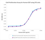 PeproGMP® Human EGF Protein in Bioactivity (Bioactivity)