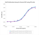 PeproGMP® Human EGF Protein in Bioactivity (Bioactivity)