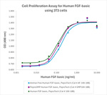 PeproGMP® Human FGF-basic (FGF-2/bFGF) Protein in Bioactivity (Bioactivity)
