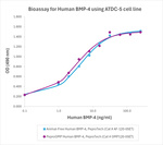 PeproGMP® Human BMP-4 Protein in Bioactivity (Bioactivity)