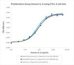 PeproGMP® Human IL-2 Protein in Bioactivity (Bioactivity)