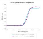 PeproGMP® Human IL-6 Protein in Bioactivity (Bioactivity)