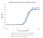 PeproGMP® Human IL-15 Protein in Bioactivity (Bioactivity)