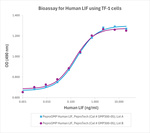PeproGMP® Human LIF Protein in Bioactivity (Bioactivity)