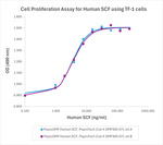 PeproGMP® Human SCF Protein in Binding assay (Binding)