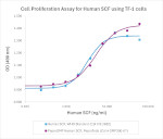 PeproGMP® Human SCF Protein in Bioactivity (Bioactivity)