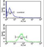GnRH2 Antibody in Flow Cytometry (Flow)