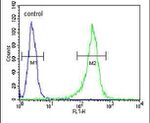 GNS Antibody in Flow Cytometry (Flow)