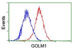 GOLM1 Antibody in Flow Cytometry (Flow)