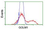 GOLM1 Antibody in Flow Cytometry (Flow)