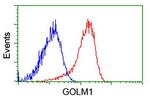 GOLM1 Antibody in Flow Cytometry (Flow)