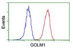 GOLM1 Antibody in Flow Cytometry (Flow)