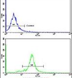 GOLPH3 Antibody in Flow Cytometry (Flow)
