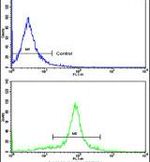 GOLPH3 Antibody in Flow Cytometry (Flow)