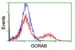 GORAB Antibody in Flow Cytometry (Flow)