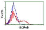 GORAB Antibody in Flow Cytometry (Flow)