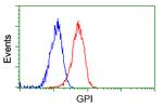 GPI Antibody in Flow Cytometry (Flow)