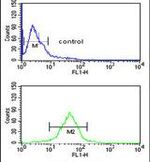 GPR17 Antibody in Flow Cytometry (Flow)