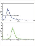 GPT Antibody in Flow Cytometry (Flow)