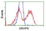 GRHPR Antibody in Flow Cytometry (Flow)