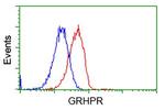 GRHPR Antibody in Flow Cytometry (Flow)
